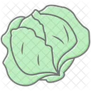 Cabbage  Icon