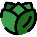 Cabbage  Icon