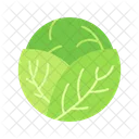 Cabbage  Icon