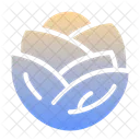 Cabbage  Icon