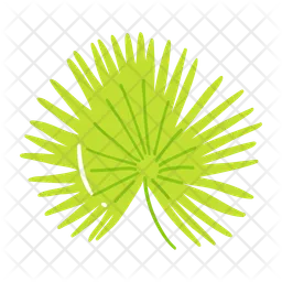 Cabbage palmetto leaf  Icon