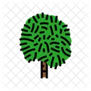 Cabbage Tree  Icon