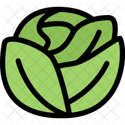 Cabbage  Icon