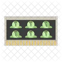 Cabbages Garden Bed Raised Bed Icon