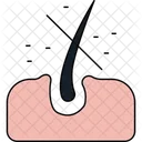 Cabelo Oleoso Couro Cabeludo Oleoso Cuidados Com Os Cabelos Icon