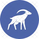 Cabra Cuerno Animales Icono