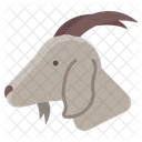 Cabra  Icono