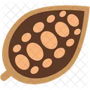 Cacaobean Icon