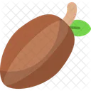 Cacao  Icon