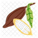 Cacao  Icono