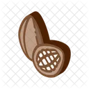 Cacao  Icono