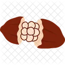 Cacao Sweet Cocoa Icon