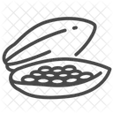 Cacao Cocoa Pod Icon