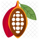 Cacao Cocoa Food Icon