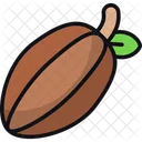 Cacao Chocolate Cocoa Icon