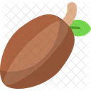 Cacao Cocoa Chocolate Icon
