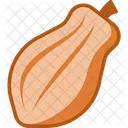 Cacao Sweet Cocoa Icon