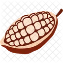 Cacao Sweet Cocoa Icon