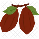 Cacao Sweet Cocoa Icon