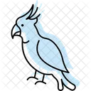 Cacatua Pajaro Loro Icono