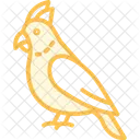 Cacatua Pajaro Mascota Icono