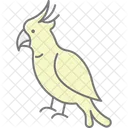 Cacatua Pajaro Loro Icono