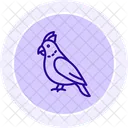 Cacatua Pajaro Mascota Icono