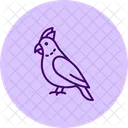 Cacatua Pajaro Mascota Icono