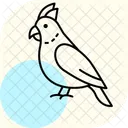 Cacatua Pajaro Mascota Icono