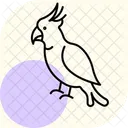 Cacatua Pajaro Loro Icono
