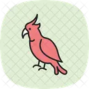 Cacatua Pajaro Loro Icono