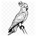 Cacatúa  Icono