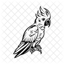 Cacatúa  Icono