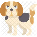 Cachorrinho beagle  Ícone