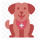 Cachorro Animal Busca E Resgate Ícone