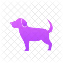 Cachorro Animal De Estimacao Animal Icon