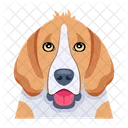 Iconos De Perros Iconos De Animales Perro Domestico Icono