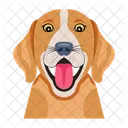 Iconos De Perros Iconos De Animales Perro Domestico Icono