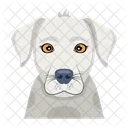 Iconos De Perros Iconos De Animales Perro Domestico Icono