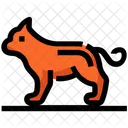 Primavera Cachorro Animal De Estimacao Ícone