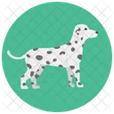 Dalmata Cachorro Animal De Estimacao Ícone