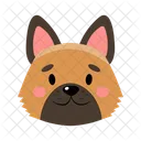  Ícone