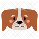  Ícone