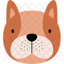 Cachorro Zoologico Animal Ícone