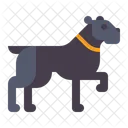 Cachorro Ícone