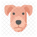 Cachorro Airedale Terrier  Ícone