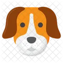 Cachorro beagle  Ícone