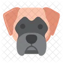 Cachorro Bullmastife  Ícone