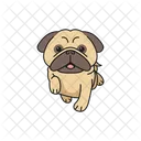 Pug Animal Animal De Estimacao Ícone