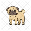 Pug Animal Animal De Estimacao Ícone